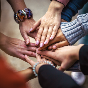 Site Komedi – Imagem Notícia Blog-05